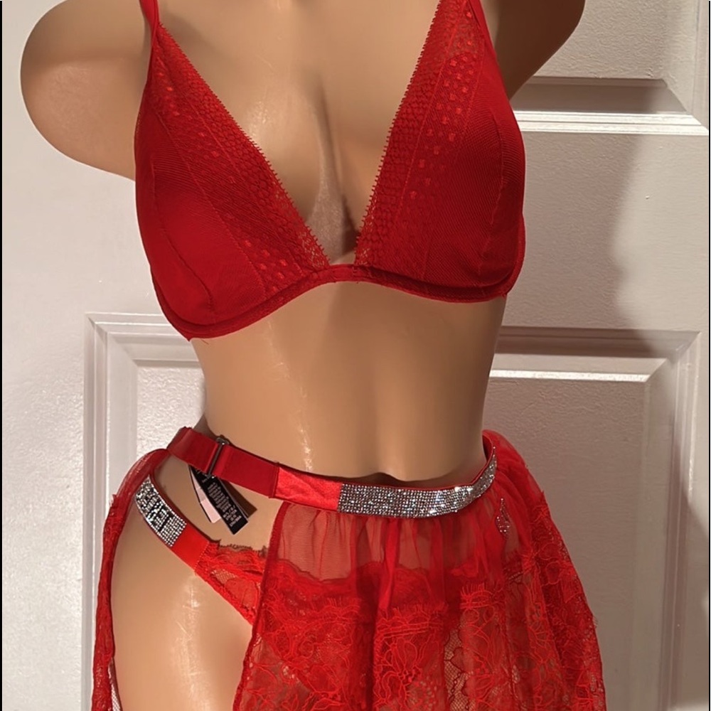 Victoria Secret incredible set bra 3 piece 34DD M panties garter NWT